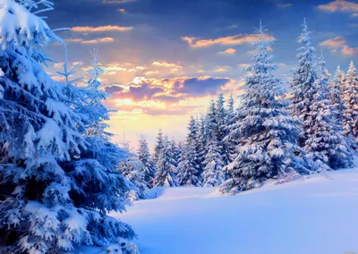 Украсьте свой экран красивыми зимними изображениями