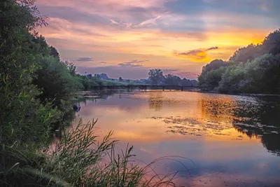 На реке  фото