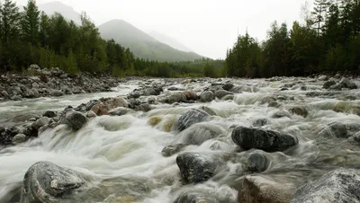 Величественные виды реки во время восхода солнца