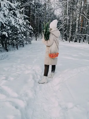 Зимние чудеса в объективе: коллекция снежных фото