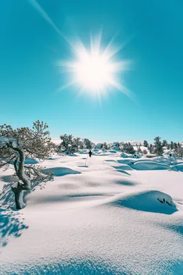 Фотографии зимы: выбирайте формат изображения
