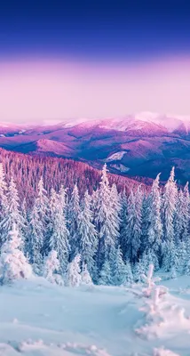 Фотографии зимнего пейзажа на заставку
