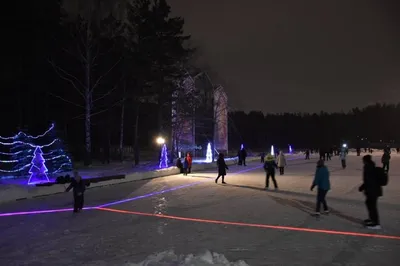 Зимние контрасты: Фотоальбом зимы в городе