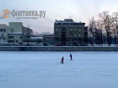 Фон снежного леса в высоком разрешении