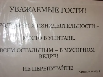 Креативные надписи в туалете на фото