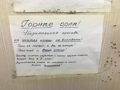 Привлекательные надписи в туалете на фото