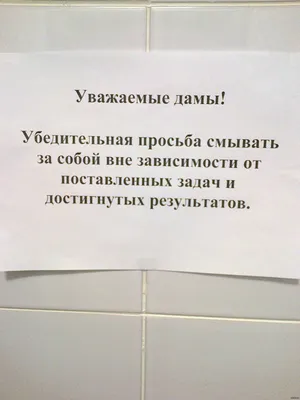 Интригующие надписи в туалете на фото