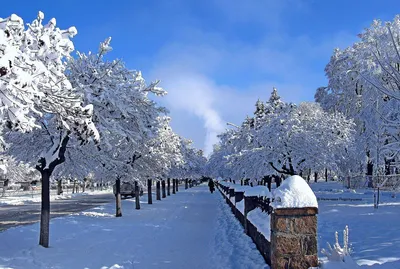 Прекрасные зимние пейзажи Нальчика