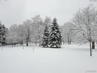 Зимний Нальчик в разных ракурсах: фотоподборка