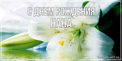 Фотоальбом для Наны: самые яркие и веселые моменты!