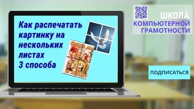 Новые фотографии листьев в различных форматах: JPG, PNG, WebP