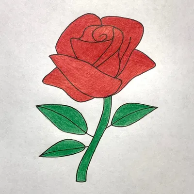 Картинка розы для скачивания: выбор формата и размера