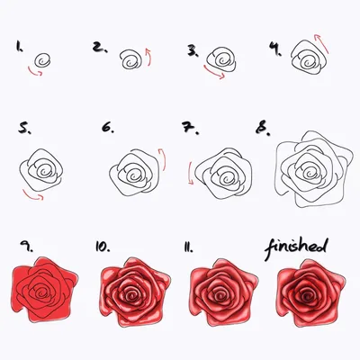 Иллюстрация розы на холсте: выбор формата и размера