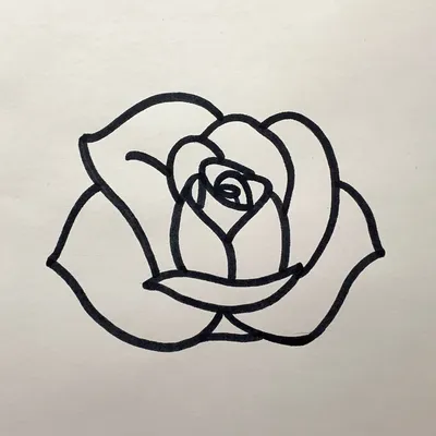Красивое изображение розы в разных форматах и размерах