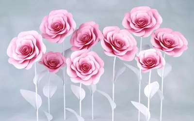 Картинка розы в формате webp: выберите размер