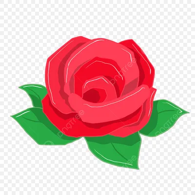Иллюстрация розы: выберите формат и размер