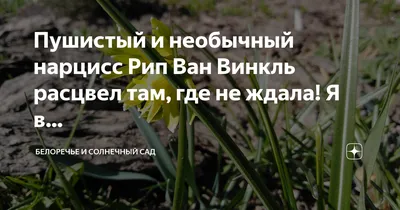 Фотографии ванной комнаты, созданные Нарциссом Рипом ван Винклем