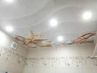 Идеи дизайна с натяжными потолками в ванной