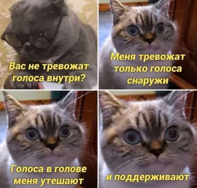 Удивительные фото, которые покажут вам мир животных