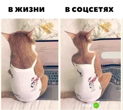 Фотографии, которые покажут вам красоту закатов и рассветов