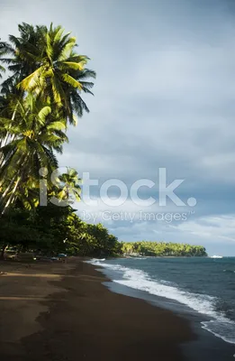 Фото пляжа с неграми: скачать бесплатно в HD