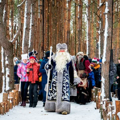 Зимний альбом: Выберите размер и формат для скачивания Нелжа зимой