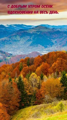 Фотки с добрым утром осень в хорошем качестве