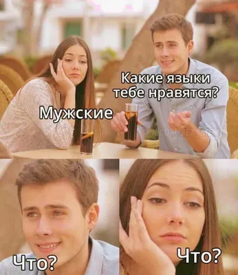 Новые смешные фото - скачать бесплатно в формате JPG