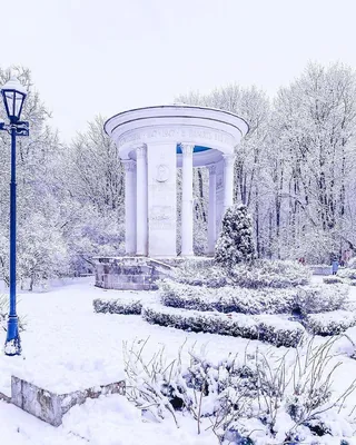 Уютный сад в зимнем облике: скачайте фото в любом формате