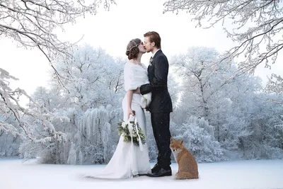 Зимний венчальный портрет: Фото в различных форматах и размерах