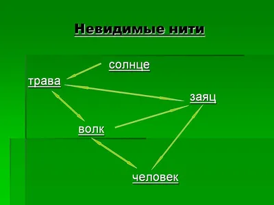 Невидимые нити в весеннем лесу в виде схемы картинки