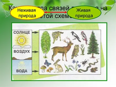 Невидимые нити в весеннем лесу: скачать картинку в формате JPG