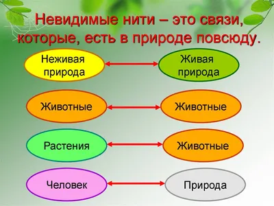 Невидимые нити в весеннем лесу: красивые картинки в HD качестве