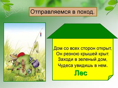 Невидимые нити в весеннем лесу: скачать новое изображение в хорошем качестве