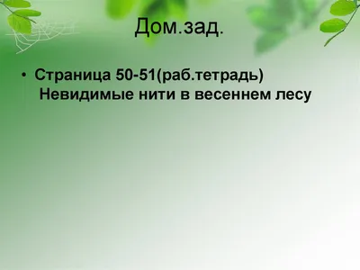 Невидимые нити в весеннем лесу: изображения в формате 4K для скачивания