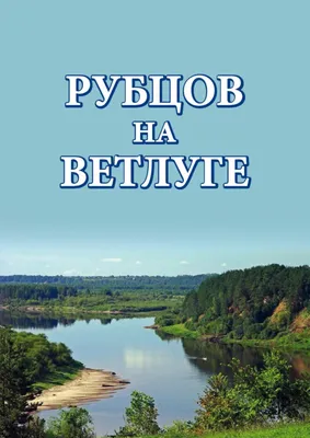 Невидимые нити в весеннем лесу: выберите размер изображения и скачайте в формате PNG