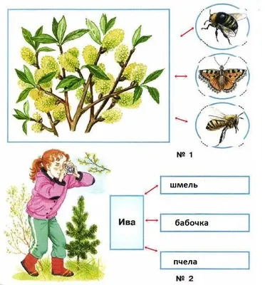 Новое изображение: Невидимые нити в весеннем лесу