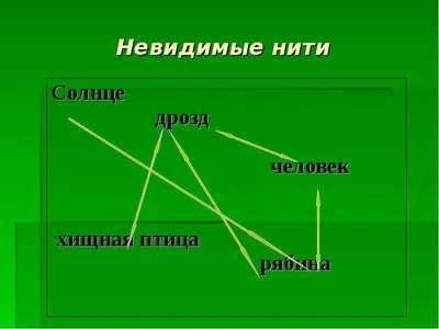 Невидимые нити в весеннем лесу: скачать бесплатно в хорошем качестве