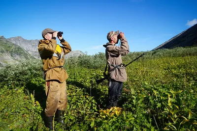 Загадочные узоры в природе: фотографии невидимых нитей в весеннем лесу