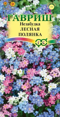 Изображения незабудок в разных форматах и размерах для вашего выбора