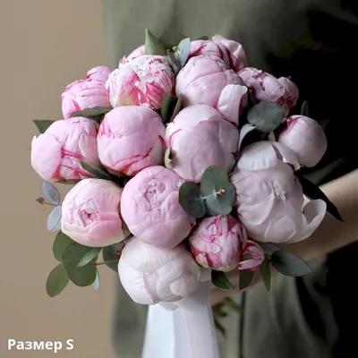 Загадочные фотографии нежно розовых пионов