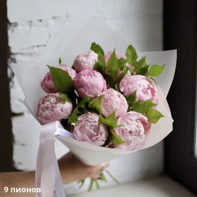 Интересные фото нежно розовых пионов на ваш выбор