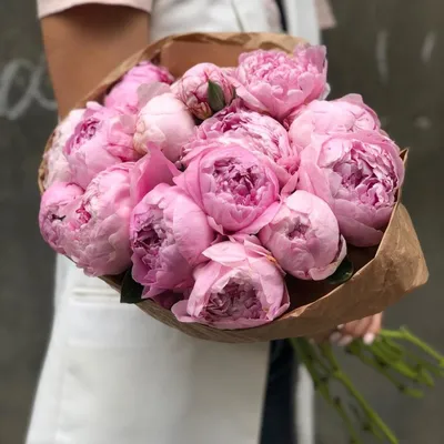 Чудесные фотографии нежно розовых пионов