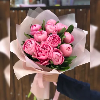 Фото, захватывающие красотой нежно розовых пионов