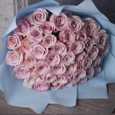 Нежно розовые розы в формате jpg для скачивания