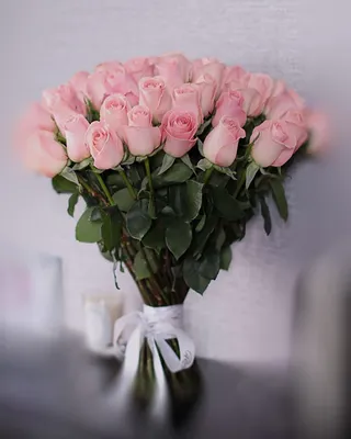 Завораживающие розы в розовой гамме: скачать фото