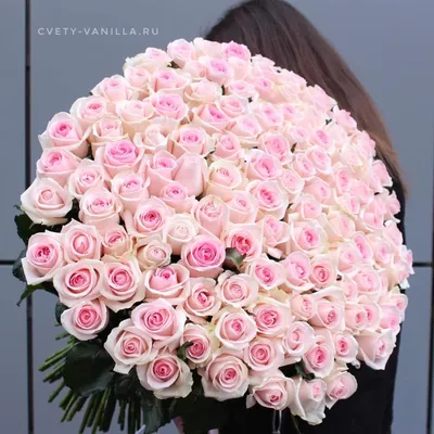 Красивые розы в розовой гамме: скачать картинки
