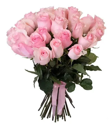Фото нежно розовых роз в стильном формате webp