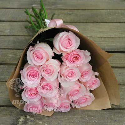 Восхитительные розы: выбирайте размер и формат фото