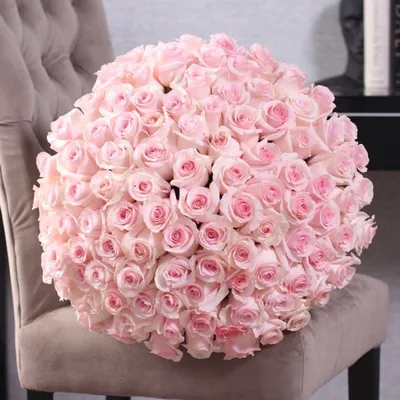 Фотография нежно розовых роз для загрузки в png формате